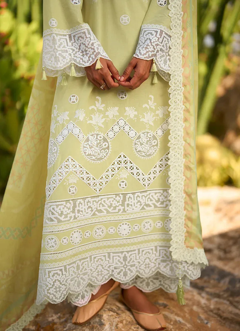 Citrine | Lawnkari ’26 | IMAGE