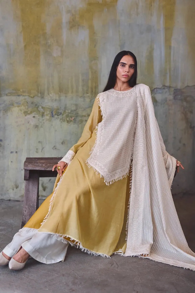 Mellow Yellow Paisley Embroidered Kurta Set | Diffusion '26 | Iqbal Hussain