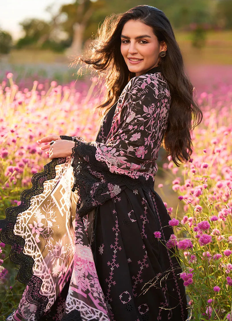 Noira | Lawnkari ’26 | IMAGE