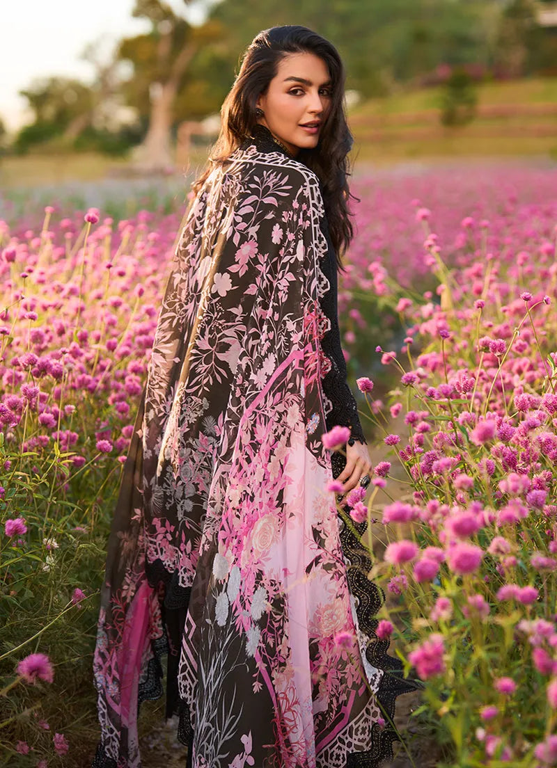 Noira | Lawnkari ’26 | IMAGE