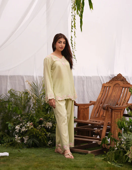 Pistachia | Lawn '25 | Osen