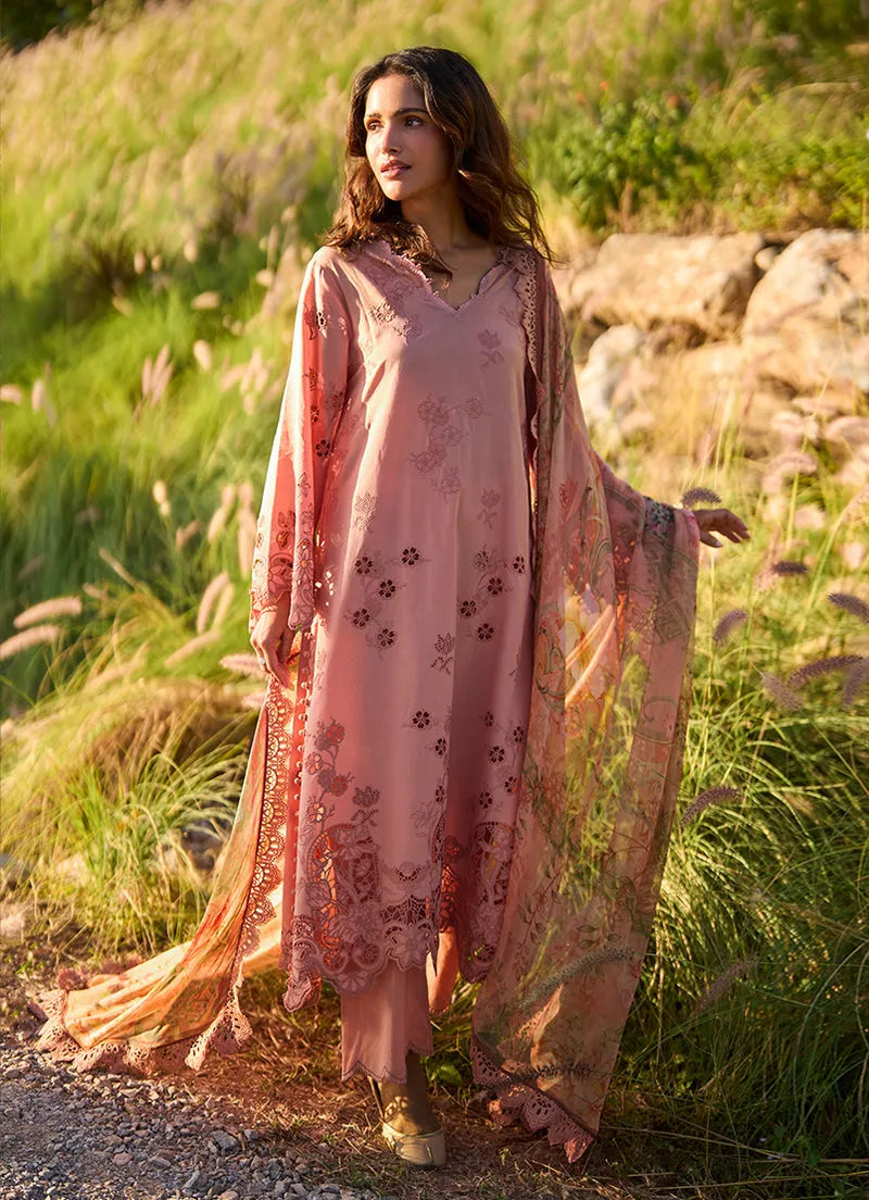 Solara | Lawnkari ’26 | IMAGE