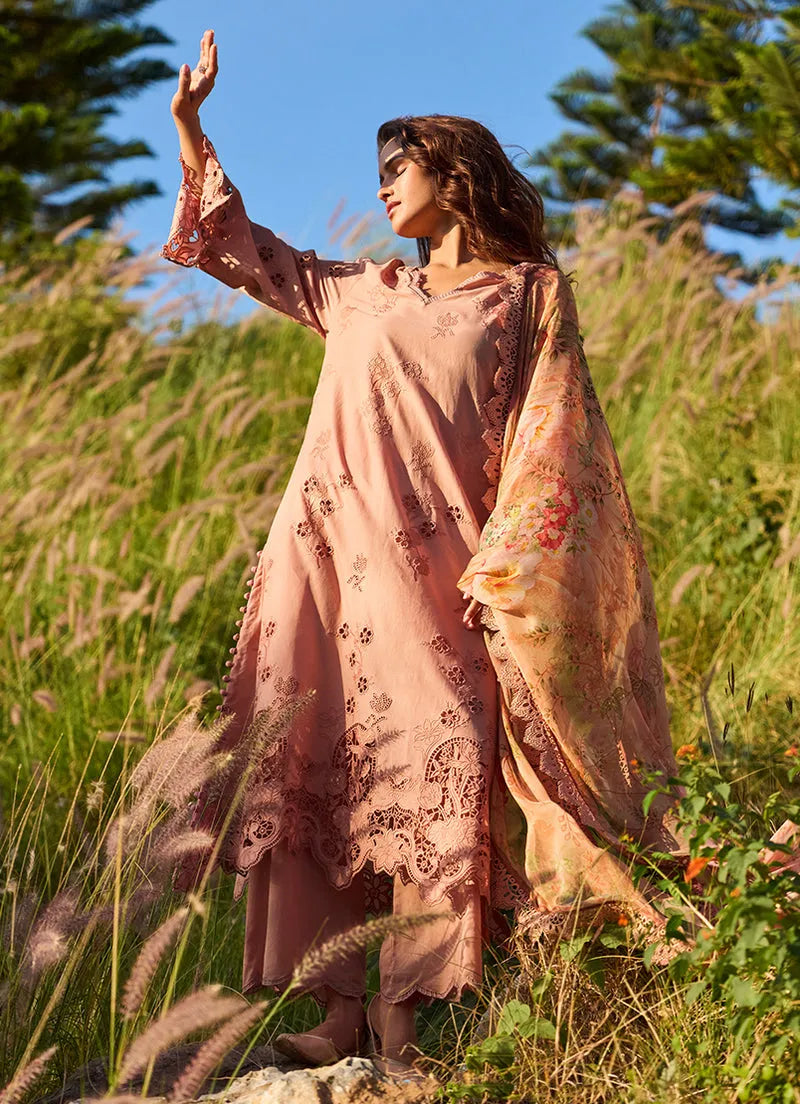 Solara | Lawnkari ’26 | IMAGE