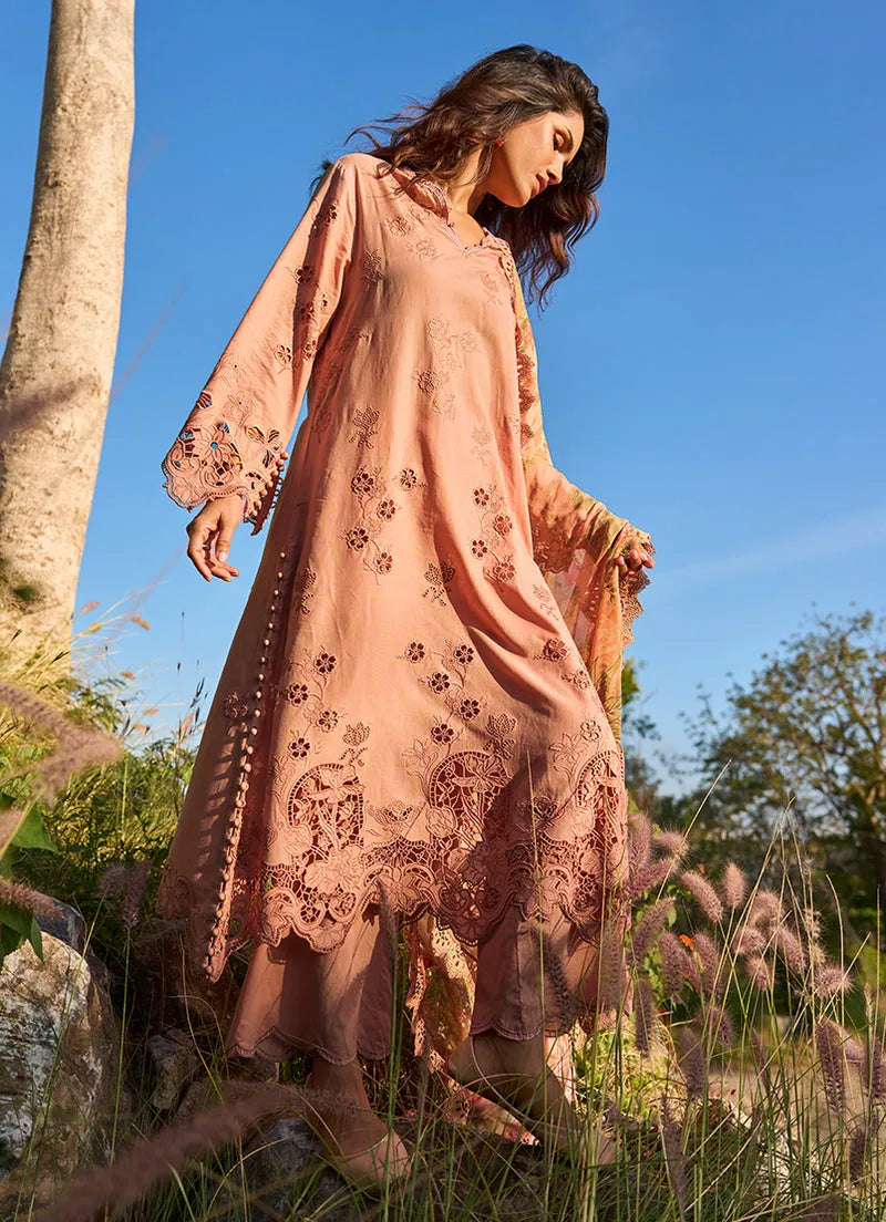 Solara | Lawnkari ’26 | IMAGE