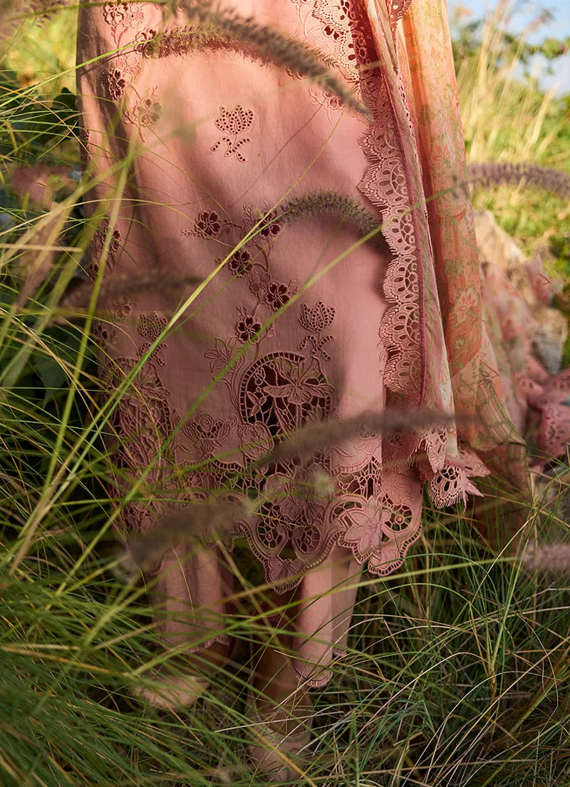 Solara | Lawnkari ’26 | IMAGE